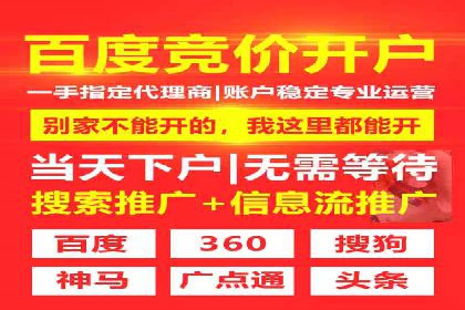 百度广告投放策略：成功案例解析